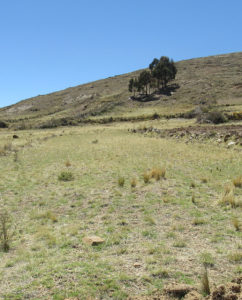 cerros-2 cerros-2